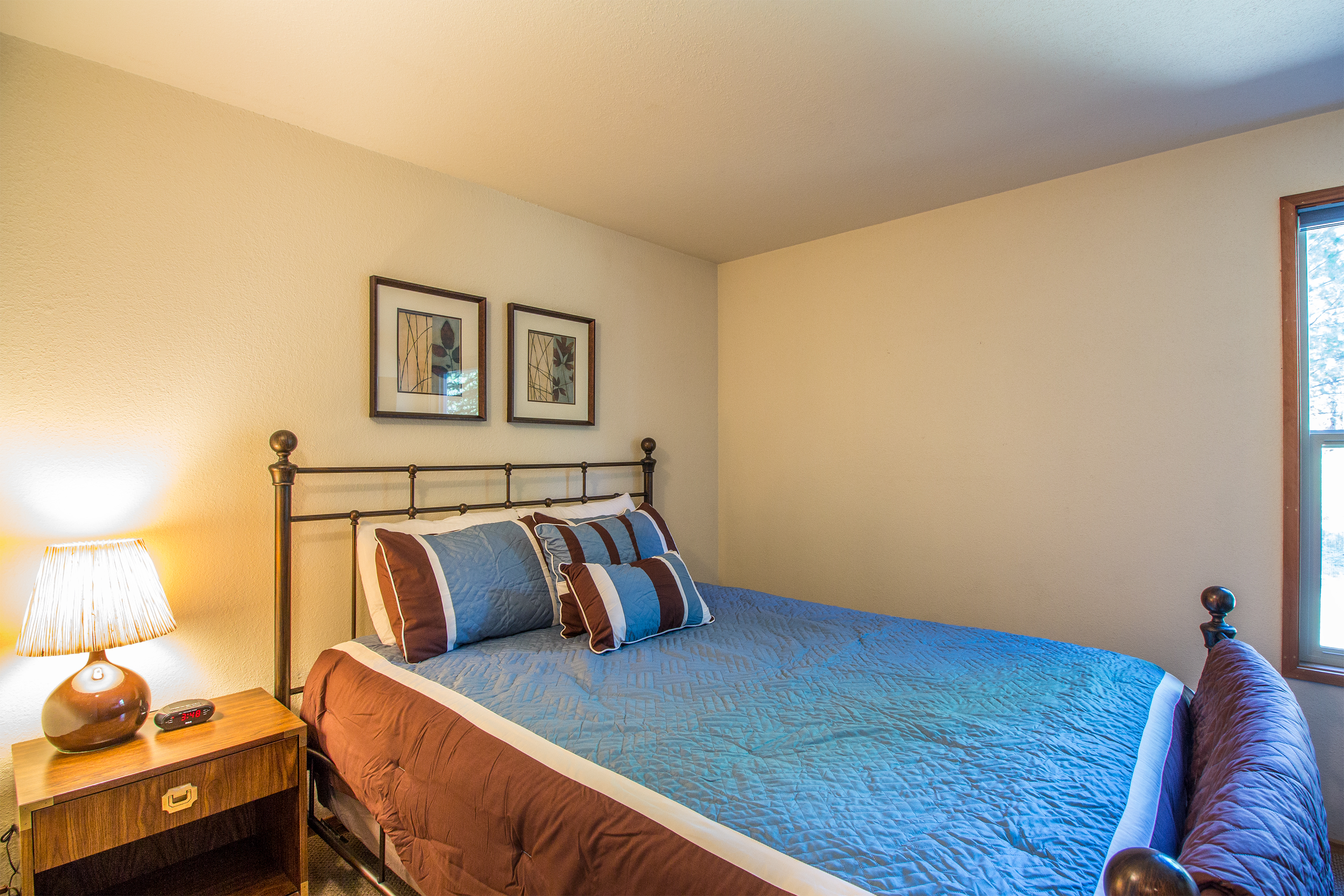 Downstairs Queen Bedroom 