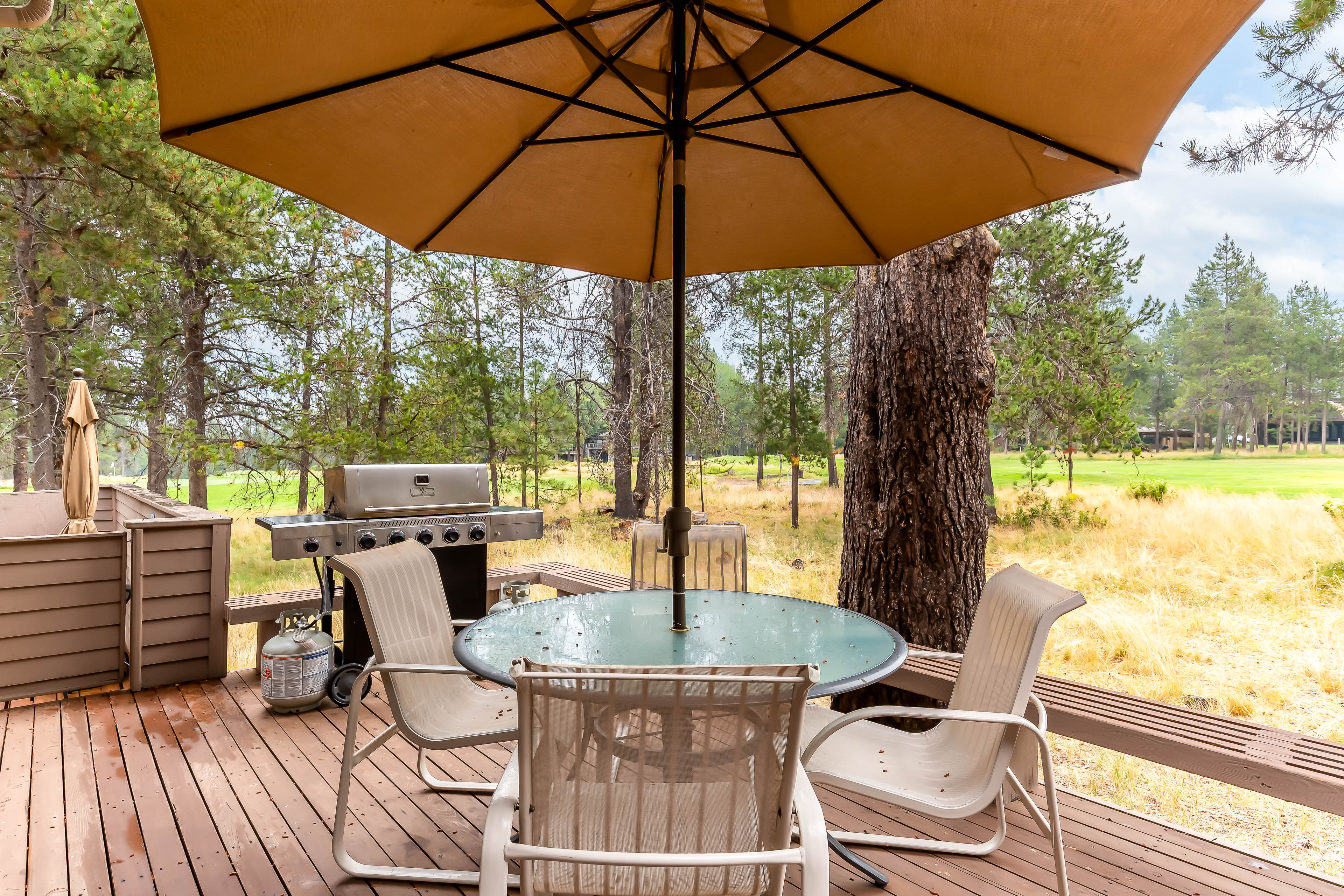 Rear Deck w/ Gas Grill