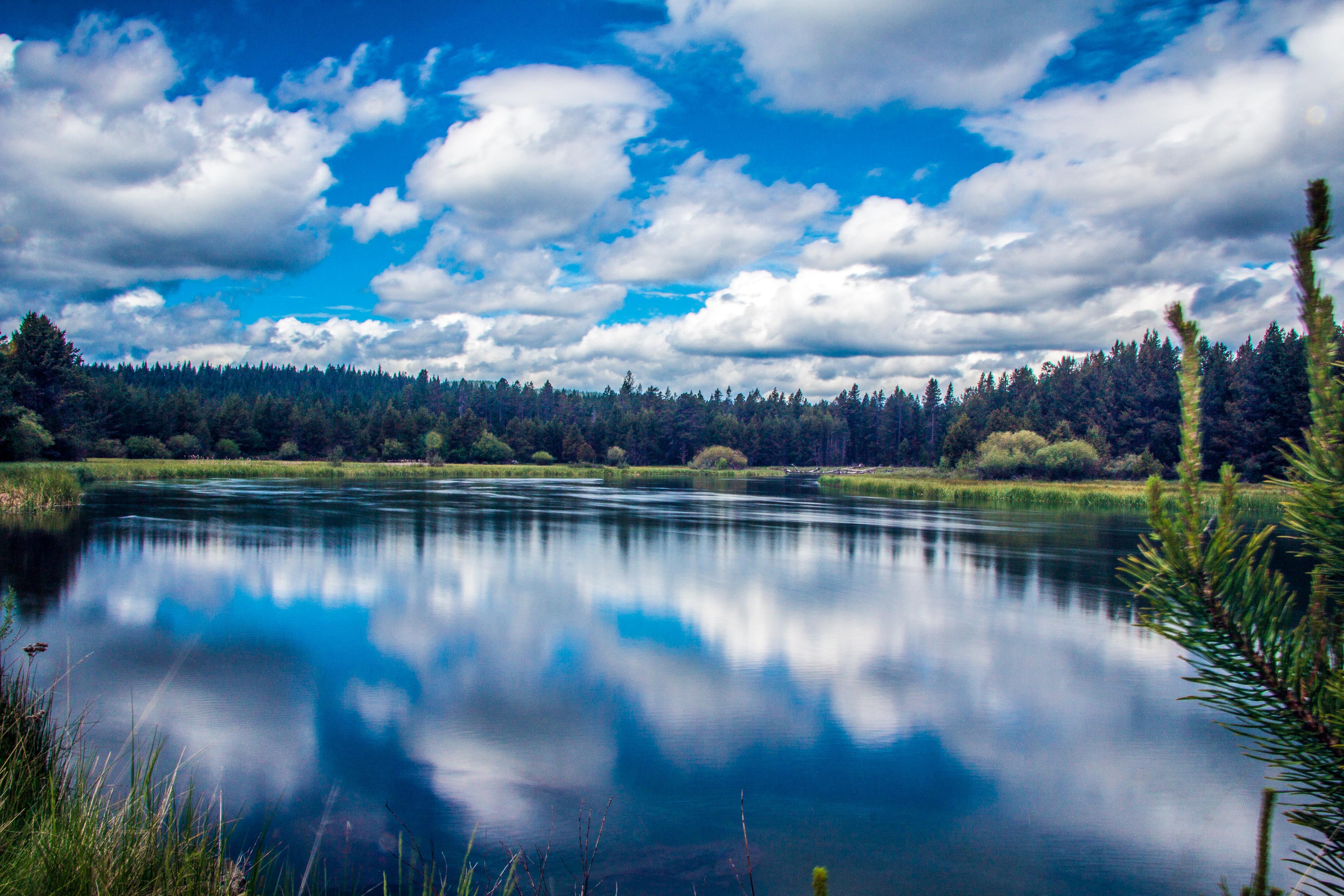 Sunriver-Pond