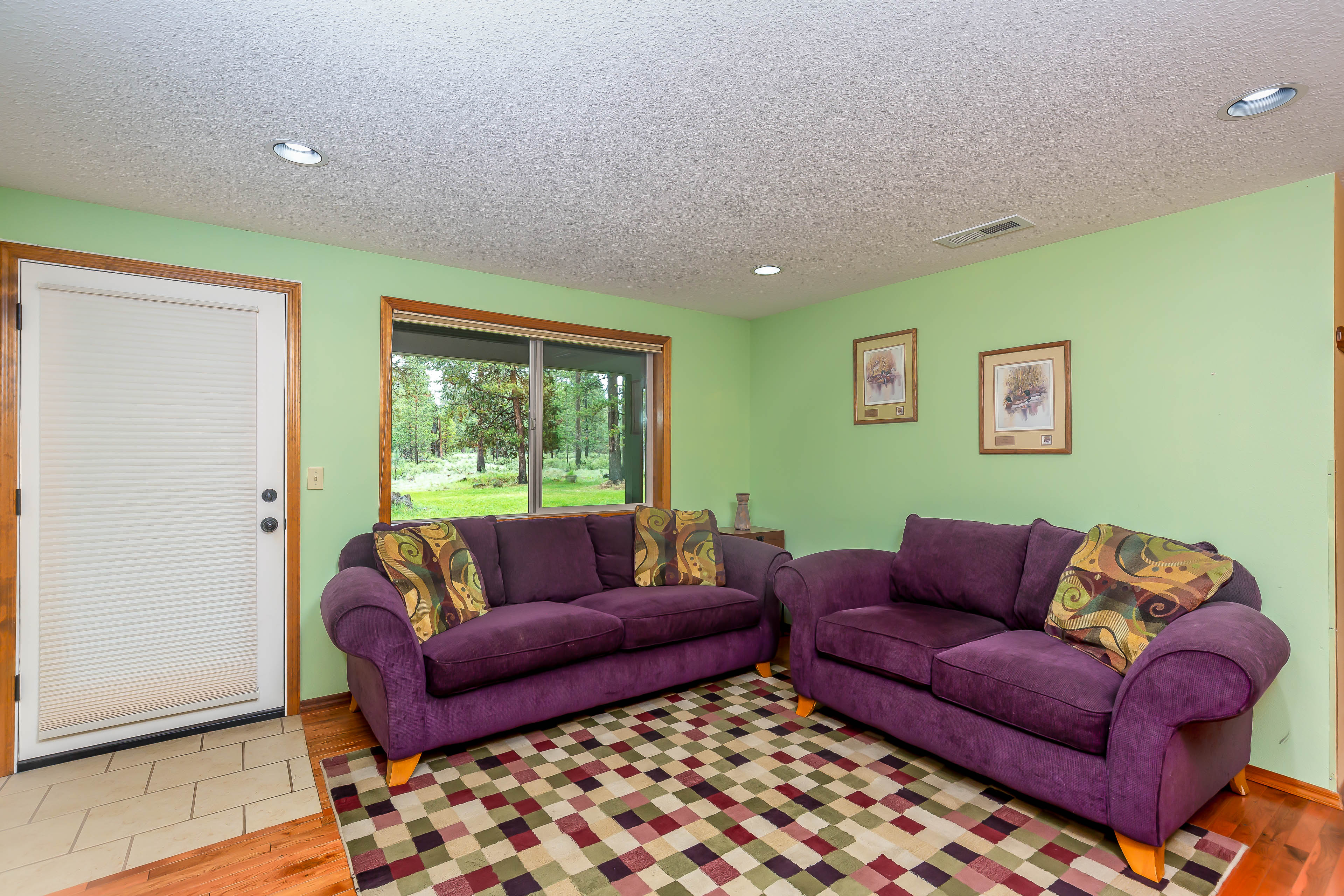 Family Room-Downstairs